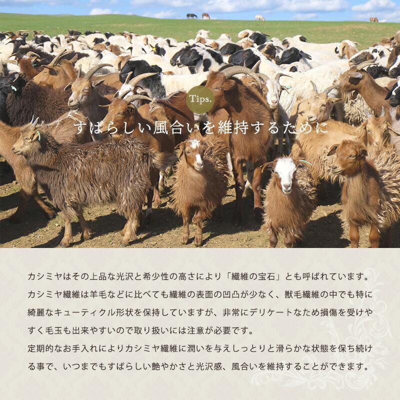 Qualial 西川 カシミヤ毛布 シングル 日本製 毛羽部分カシミヤ100