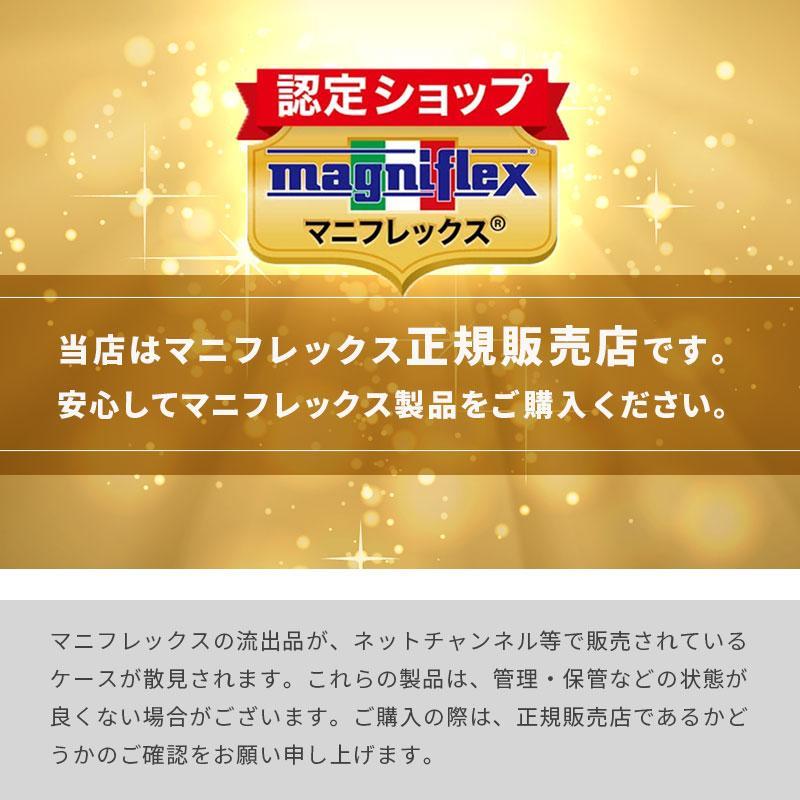 magniflex（マニフレックス） メッシュウィング ダブル マットレス