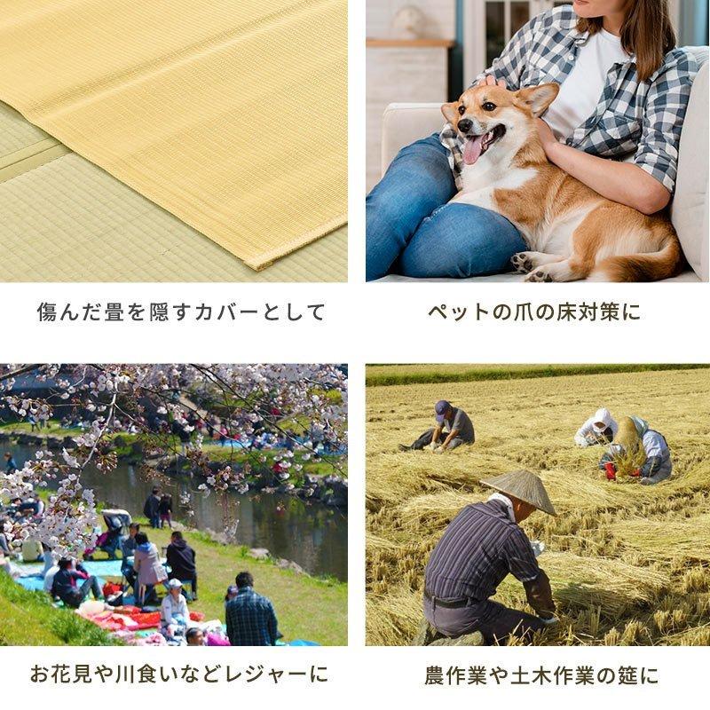 い草風PPラグ 8畳 江戸間 348×352cm 日本製 洗える ポリプロピレン