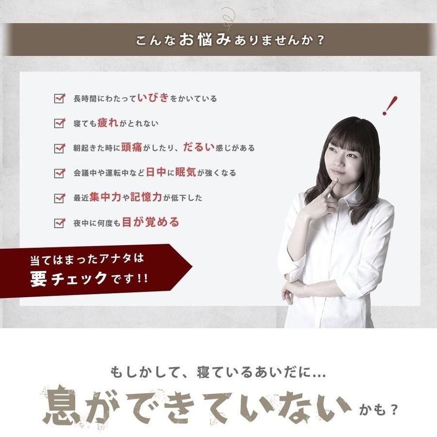 枕 まくら ウイング・ピロー プレミアム 専用カバー付きセット set