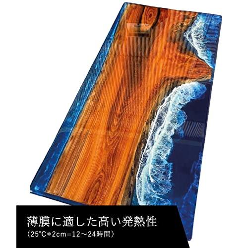フローレスレジン 最高硬度コーティング用エポキシ樹脂 速硬化タイプ 2 