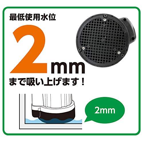フローバル プロスタイルツール 清水用水中ポンプ マイティポンプ PSP