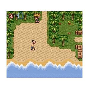 ゆうメール2個まで0円 Sfc スーパーファミコンソフト カプコン グーフィーとマックス 海賊島の大冒険 アクション スーファミ カセット 動作確認済み 本 H G Sfc 280 モウモウハウスショップ 通販 Yahoo ショッピング