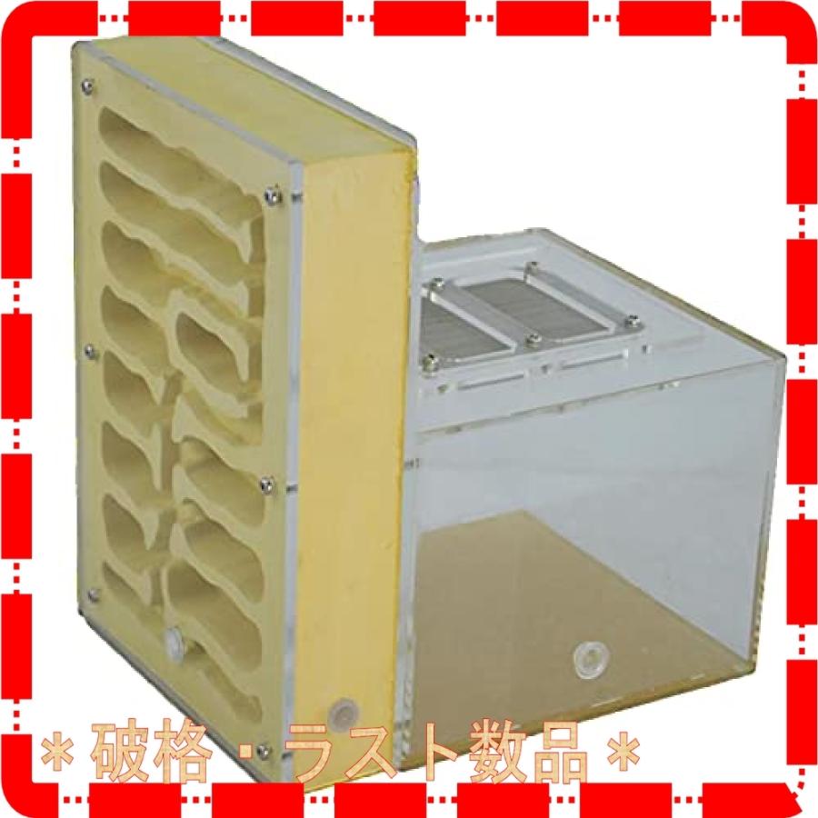 新作モデル Kybct 石膏 アリの巣 観察キット 飼育ケース 大型 自由研究 飼育 蟻 昆虫採集 アリ繁殖 アリ飼育キット アクリル Wss 294tcwp8ilxs Mt N 通販 Yahoo ショッピング 全品送料無料 Www Andiscampania It