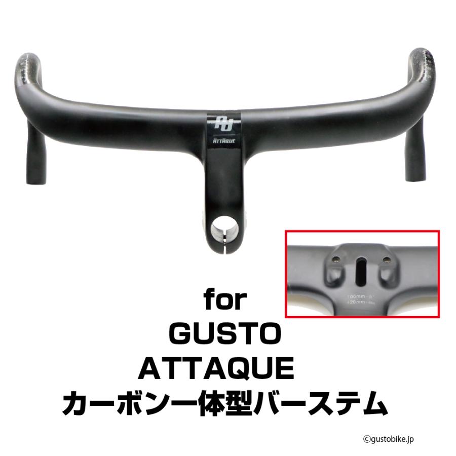 REC-MOUNTS レックマウント URSUS MAGNUS H.01 ROAD用カーボン