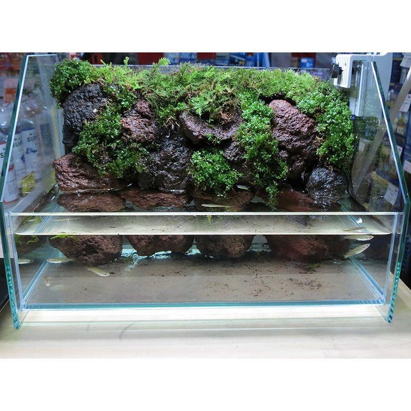 同梱不可 ジェックス ピュアブラック Gex 21 4l 熱帯魚 アクアリウム