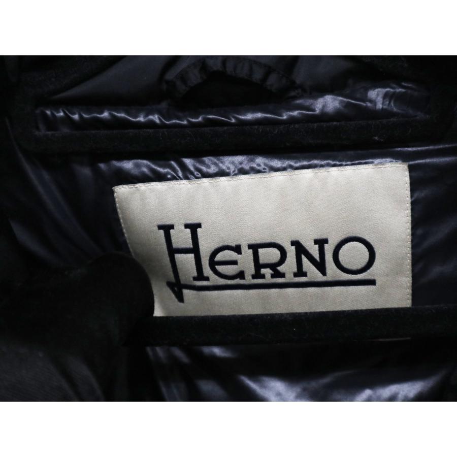 HERNO（ヘルノ） RASO PI0342D ロング ダウンジャケット サイズ40 