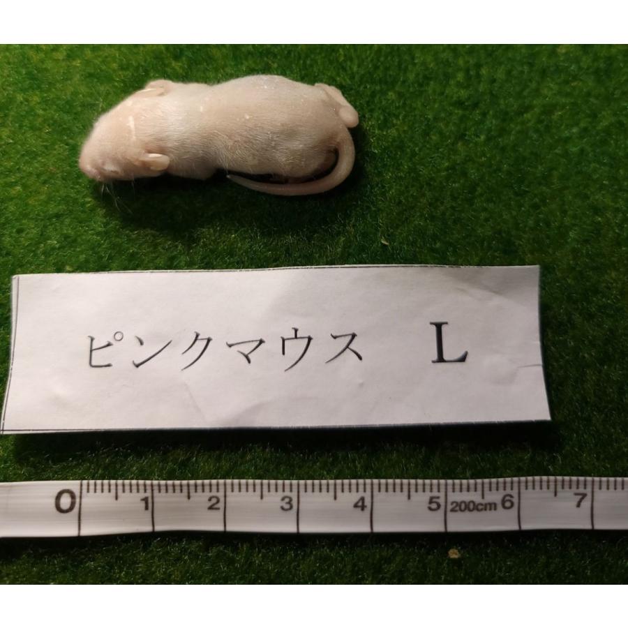 冷凍ピンクマウスl 1匹80円 10匹入り 約50ｇです 正規