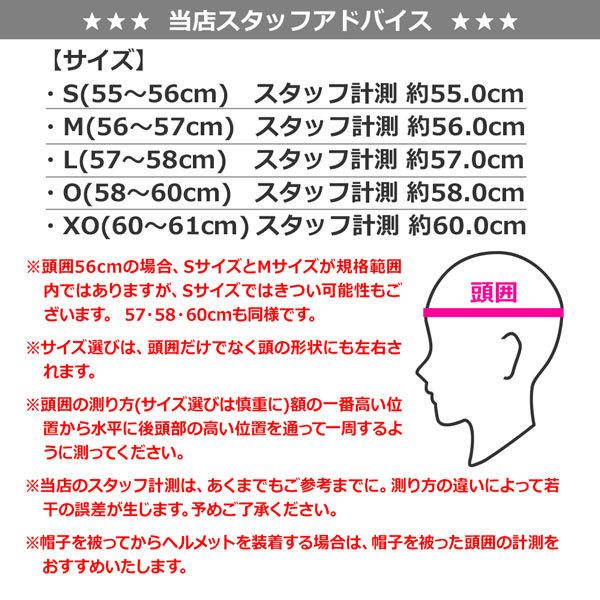 豪奢な ソフトボール ヘルメット 一般用 Mizuno 捕手用 キャッチャー 防具 Wantannas Go Id