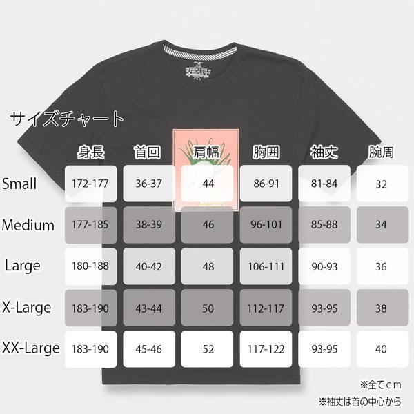 サーフ スケート スノー 3S 23SS VOLCOM ボルコム FEATURED ARTIST JUSTIN HAGER HAGERHAWK SHORT SLEEVE TEE ホークショートスリーブT | h-concept | 02