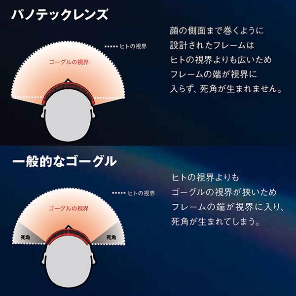 25-26 ドラゴン ピーエックスブイ リーフィーカモ ゴールドレンズ DRAGON PXV LEAFY CAMO LL J.GOLD ION スキー スノーボード ゴーグル | ドラゴン | 10