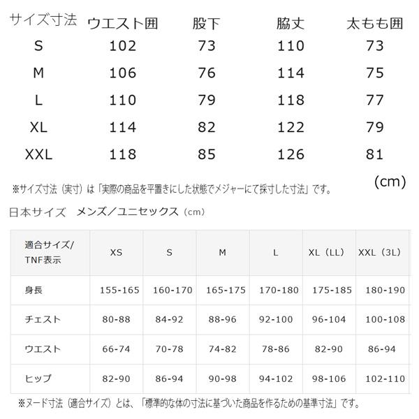 予約 26-27 THE NORTH FACE LAYBACK BC BIB ザ・ノースフェイス レイバック BC ビブ スノーボードウェア ビブパンツ ゴアテックス 26-27-PT-TNF | THE NORTH FACE | 21