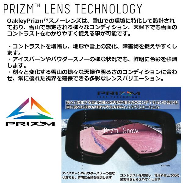 OAKLEY スキー スノーボード ゴーグル オークリー TARGET LINE L