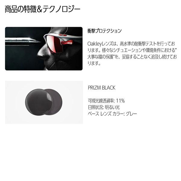 OAKLEY - オーク材ロバート・エドワード・リー 黒眼鏡 フラック FLAK 2.0 (A) ひな型 Red Tiger 水晶体 Prizm Black アジアン相応う 運動競技
