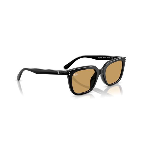 レイバン サングラス RayBan RB4439D 901/73 54 フレーム：BLACK