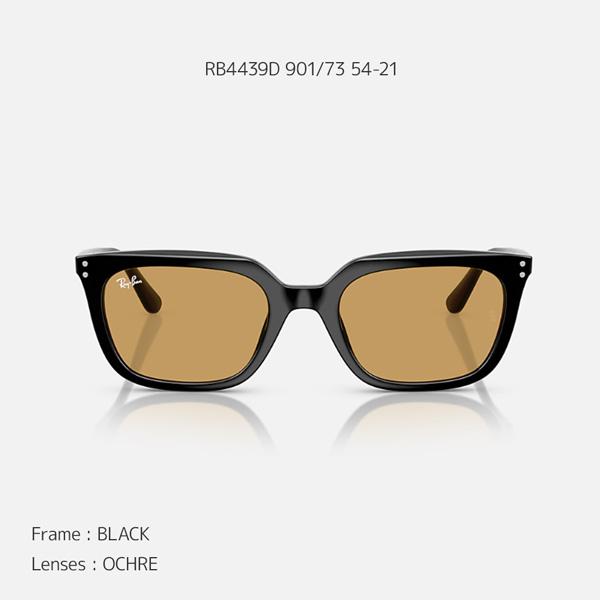 レイバン サングラス RayBan RB4439D 901/73 54 フレーム：BLACK