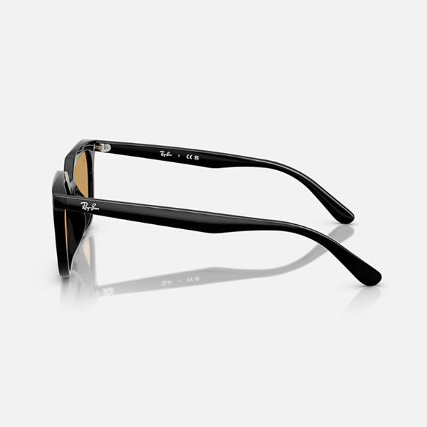 レイバン サングラス RayBan RB4439D 901/73 54 フレーム：BLACK