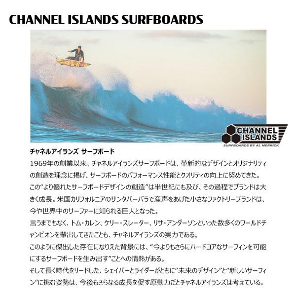 サンダーボルト アルメリック 25 THUNDERBOLT Gskate XEON CARBON