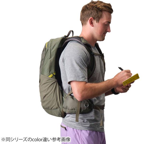 GREGORY グレゴリー ZULU 20 LT HOLIZON BLUE ズール20 リュック