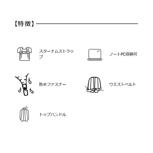 グレゴリー パトスV2 GREGORY PATOS V2 ザック リュック トラベル 通勤 通学 | GREGORY | 06