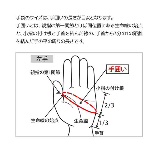ミズノ ゴルフグローブ ダブルグリップ クール夏用 W-GRIP ホワイト 左手装着 ゴルフ メール便配送 | MIZUNO | 15