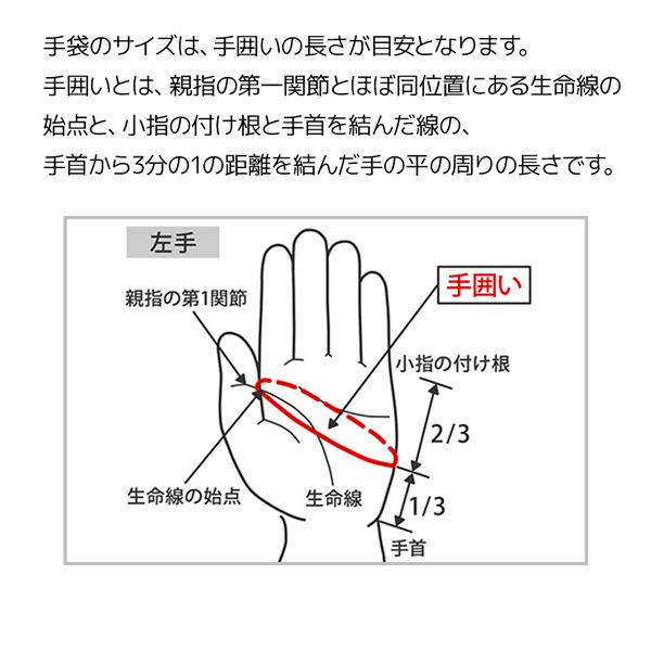 ミズノ ゴルフグローブ クールグリップ 夏用 HAPPI COLLECTION 左手装着 ゴルフ メール便配送 | MIZUNO | 12