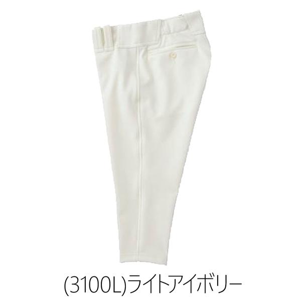 ゼット プロステ ZETT プロステイタス ユニフォーム ショートパンツ 野球 | ゼット | 10