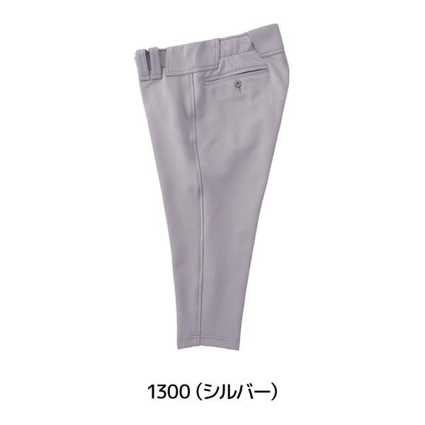 ゼット プロステ ZETT プロステイタス ユニフォーム ショートパンツ 野球 | ゼット | 11