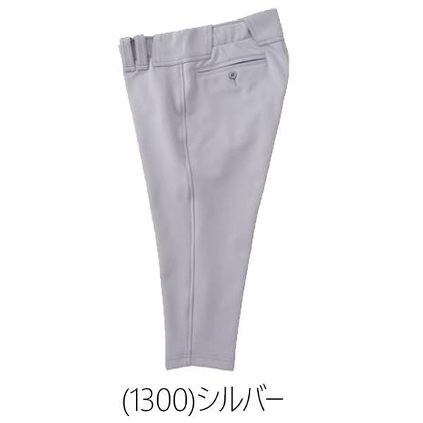 ゼット プロステ ZETT プロステイタス ユニフォーム ショートパンツ 野球 | ゼット | 12