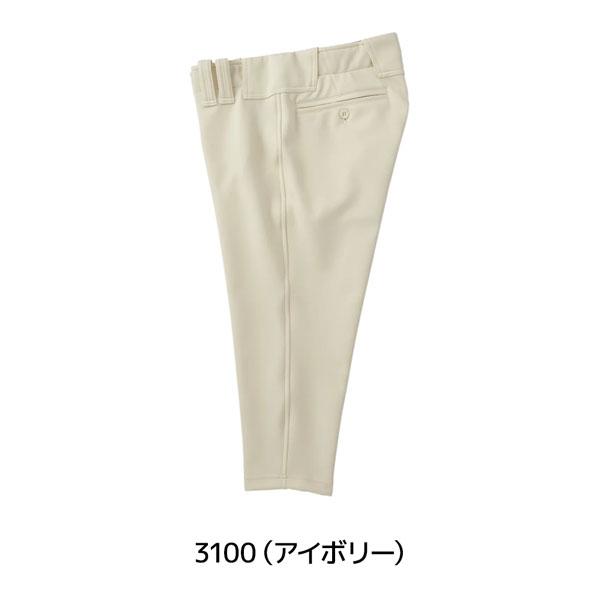 ゼット プロステ ZETT プロステイタス ユニフォーム ショートパンツ 野球 | ゼット | 12