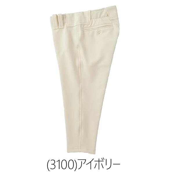 ゼット プロステ ZETT プロステイタス ユニフォーム ショートパンツ 野球 | ゼット | 13