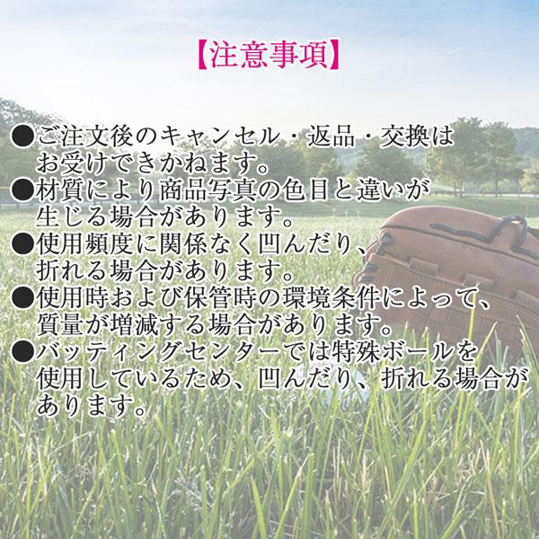 エスエスケイ SSK 野球 硬式 木製バット メイプル材 くり抜きあり プロエッジ 84cm880g平均 85cm880g平均 proedge BFJマーク EBB3025C | エスエスケイ（スポーツ用品） | 08