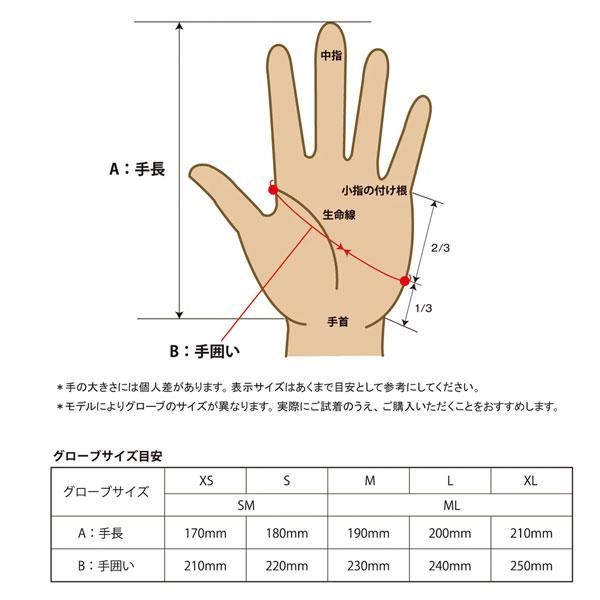 25-26 エビス カービングミットニイ EBS CARVING MITT NII スキー スノーボード 手袋 25-26-GR-EBS_18