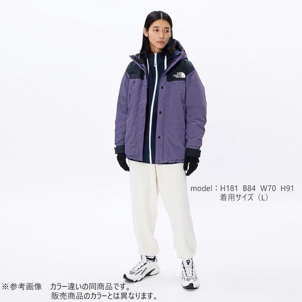 ザ ノース フェイス マウンテンダウンジャケット MOUNTAIN DOWN JACKET THE NORTH FACE TNF-23FW