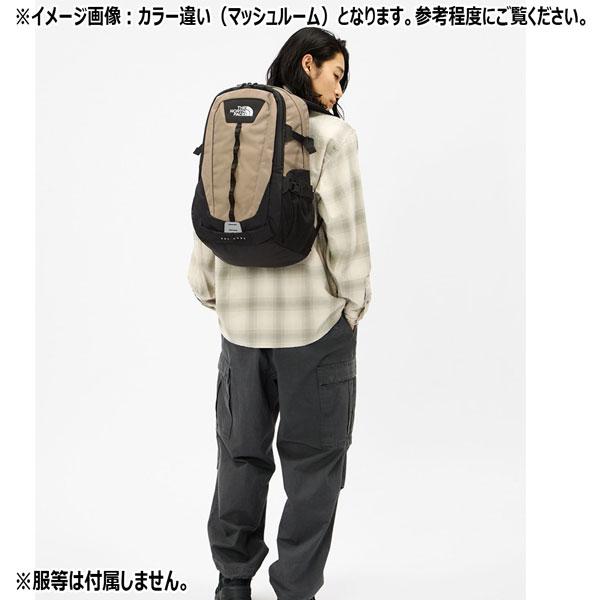 値下げ ザ ノースフェイス リュック ホットショット THE NORTH FACE HOT SHOT ディパック HOTSHOT NM72302 カラー廃番 | THE NORTH FACE | 14