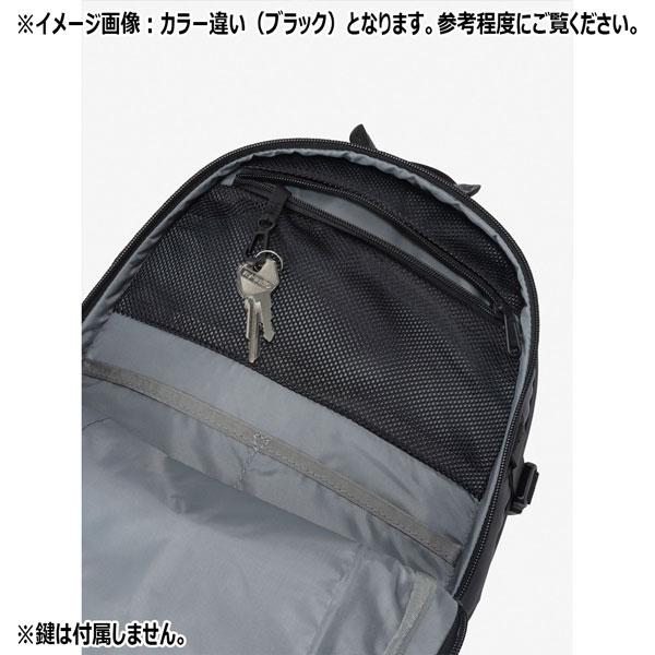 値下げ ザ ノースフェイス リュック ホットショット THE NORTH FACE HOT SHOT ディパック HOTSHOT NM72302 カラー廃番 | THE NORTH FACE | 10