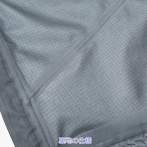 25-26 ザ ノースフェイス アールティージーゴアテックスビブ THE NORTH FACE RTG GORE-TEX BIB スノーボード ウエア パンツ 25-26-PT-TNF_21