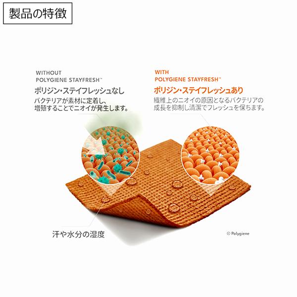 ザ ノースフェイス THE NORTH FACE ドライドットアンビションジャケット DRY DOT AMBITN JACKET | THE NORTH FACE | 11