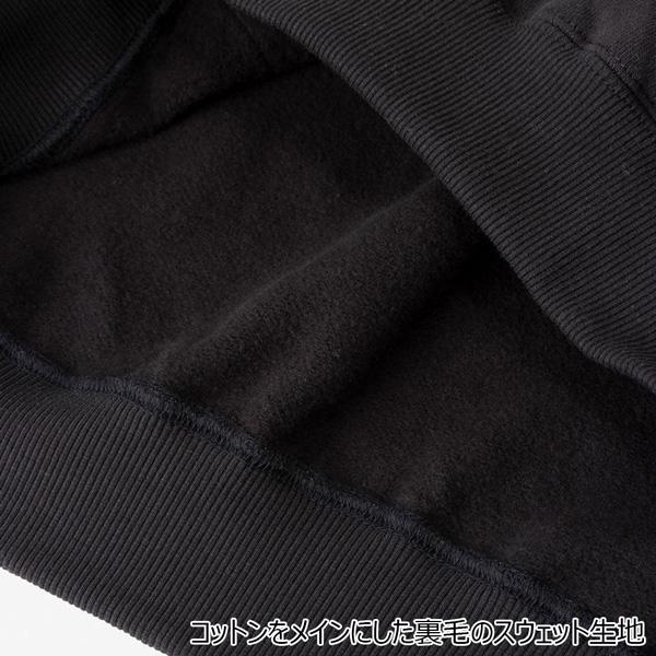 THE NORTH FACE 60TH GRAPHIC LOGO HOODY ザ・ノースフェイス 60周年グラフィックロゴ フーディ パーカー スウェット プルオーバー カジュアル | THE NORTH FACE | 09