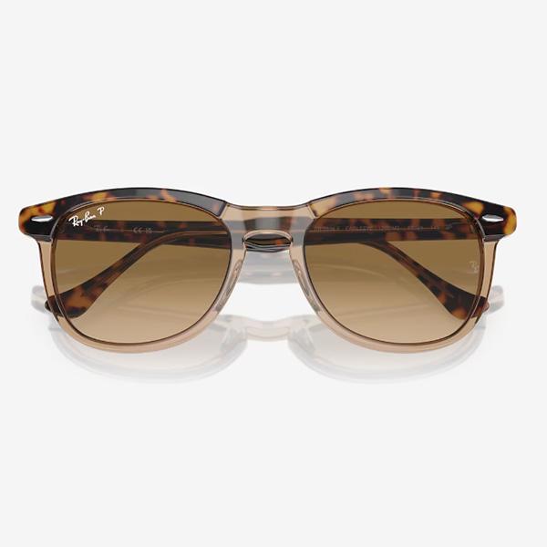 レイバン サングラス 偏光レンズ RayBan EAGLEEYE フレーム/HAVANA ON
