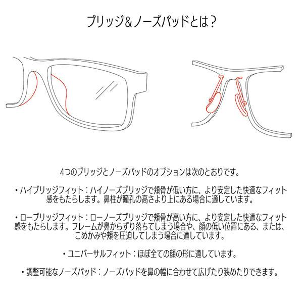 レイバン サングラス RayBan GINA フレーム/STRIPED HAVANA レンズ 