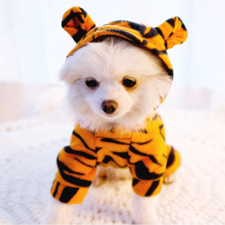 犬 服 おしゃれ かわいい 冬物 コスプレ ハロウィン 着ぐるみ タイガー トラ柄 Mowmow 猫 ペット服 猫服 ルームウェア 犬服 Dcos0045 Dcos0045 Mowmow 通販 Yahoo ショッピング