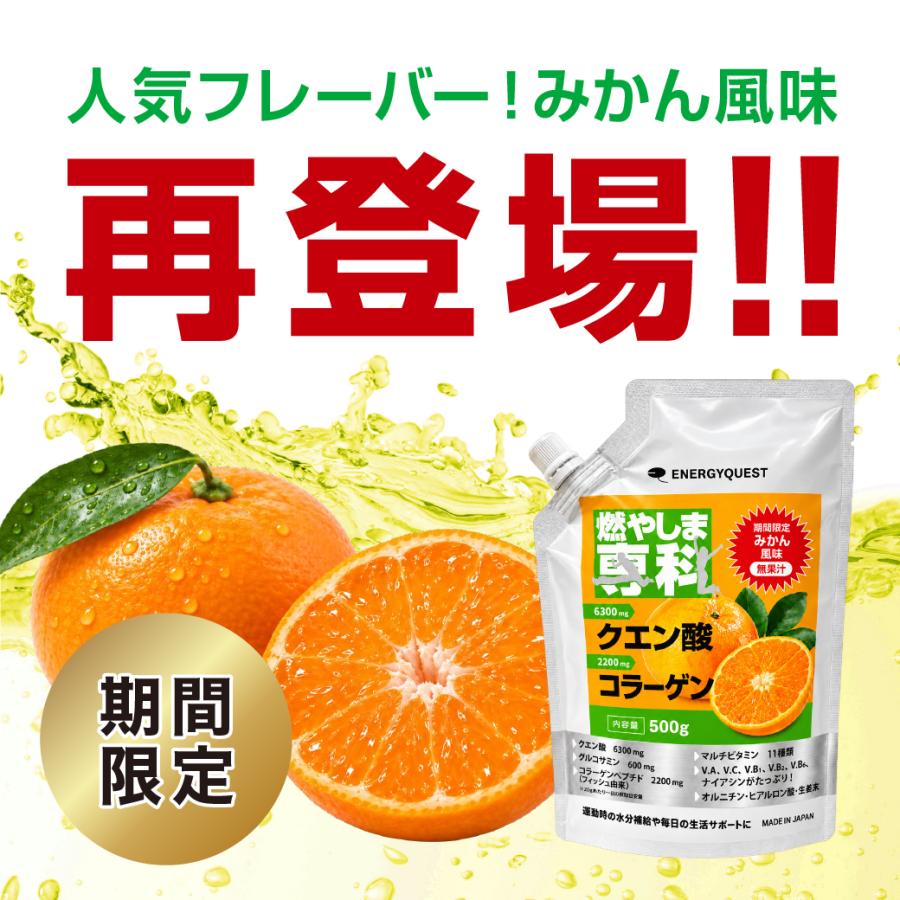 燃やしま専科 500g 公式 スポーツドリンク 粉末 パウダー クエン酸
