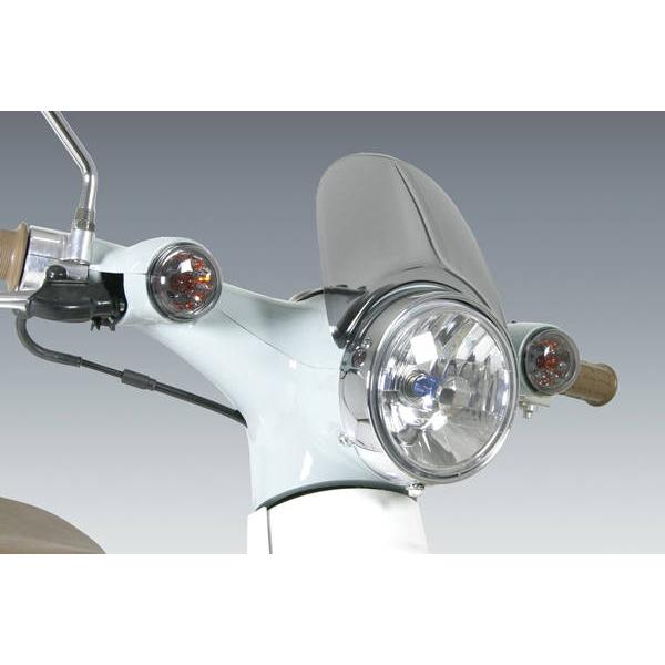 タケガワ　ブレイズウインカー/2個1セット　2セット売り SPECIAL PARTS TAKEGAWA / ブレイズウインカー(クリアレンズ)(2