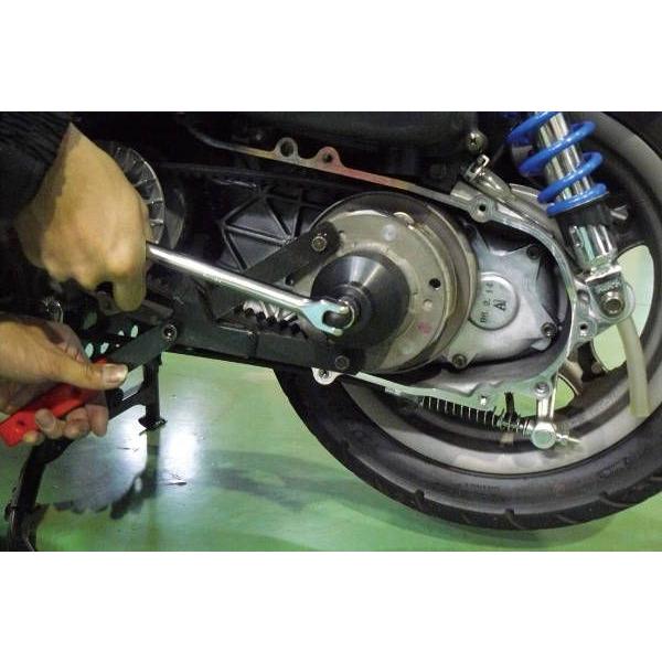 3個セット 園芸ネット本店｜フィロデンドロン：69686 3号鉢植え の通販【公式】