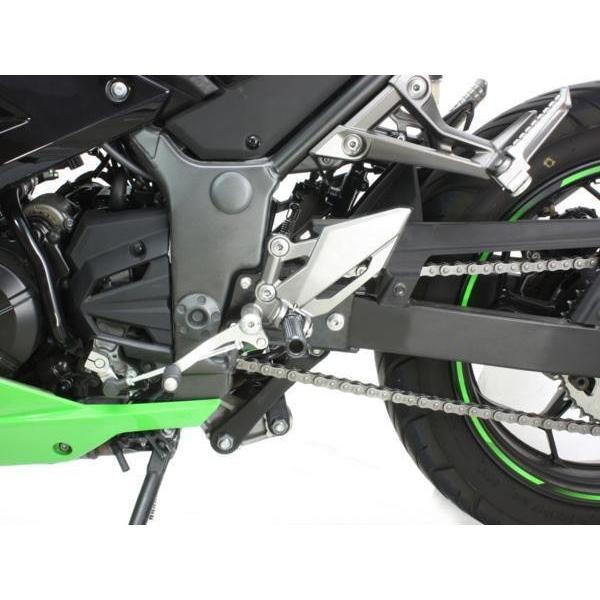 ハリケーン 3ポジステップオフセットプレート Ninja250 /HF5303 |  | 01