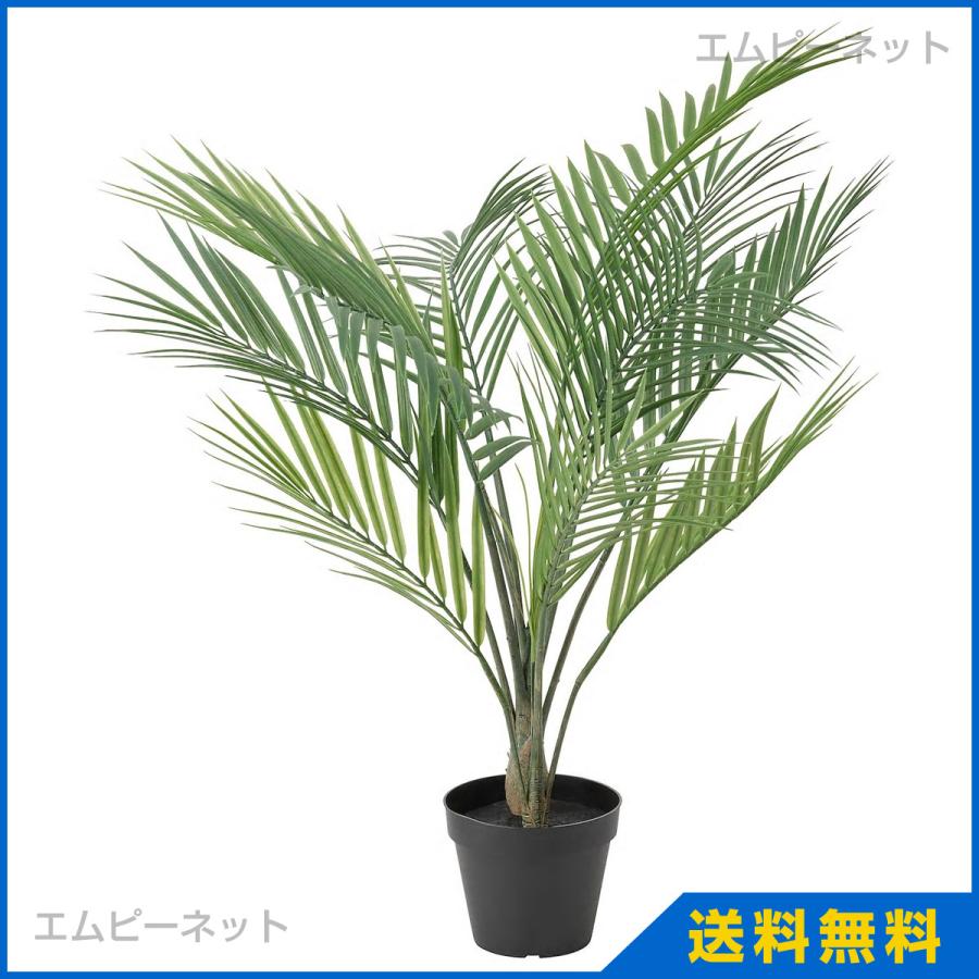 Ikea イケア 人工観葉植物 室内 屋外用 アレカヤシ Fejka フェイカ 12 Cm 805 084 10 エムピーネット ヤフー店 通販 Yahoo ショッピング