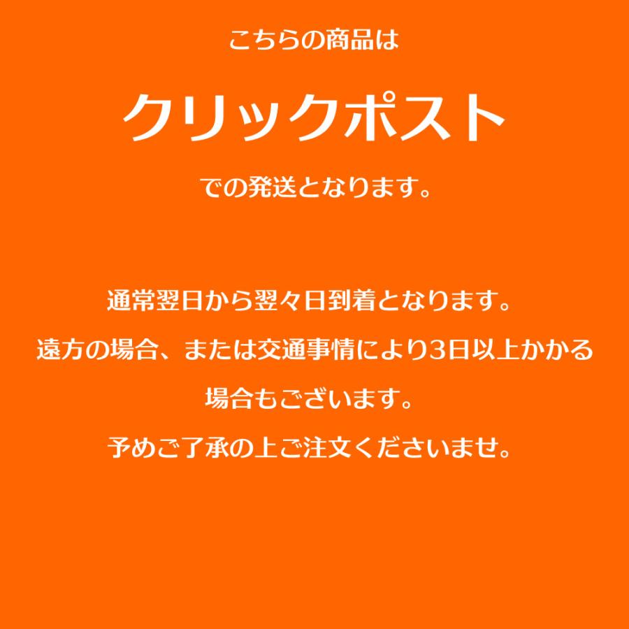 P10 大きめ 10cm フープピアス イヤリング ゴールド シルバー ラインストーン  金色 銀色 小顔効果  韓国 爆買 |  | 09