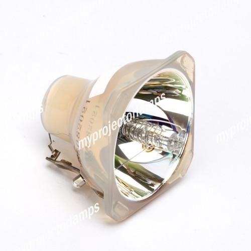 JPLAMP MPLK-D1-OB Avioプロジェクター用 純正バルブ 球のみ JPLAMP MPLK-D1-OB Avioプロジェクター用 純正バルブ 球のみ JPLAMP