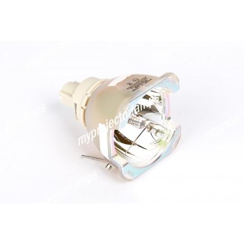 BARCO CLM W-6用 R9801015 対応 【純正バルブ採用】プロジェクター交換用ランプユニット商品